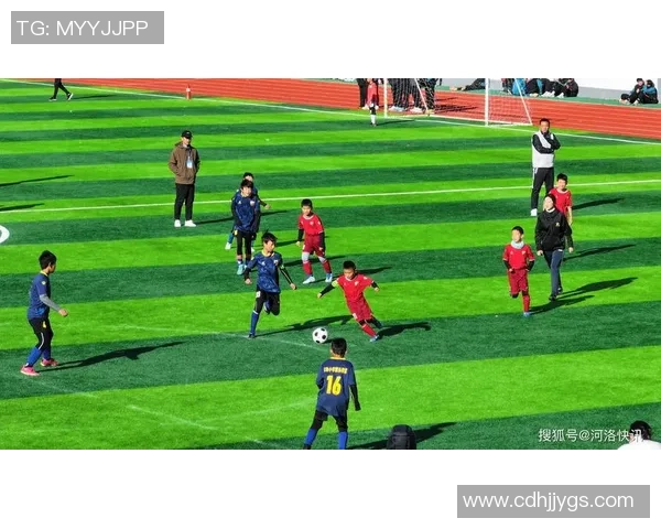 足球博雅：探索足球文化与智慧的完美结合之旅