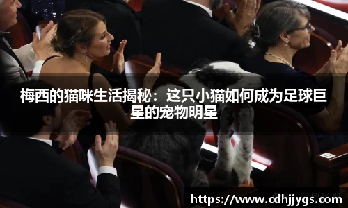梅西的猫咪生活揭秘：这只小猫如何成为足球巨星的宠物明星
