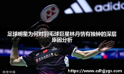 足球明星为何对羽毛球巨星林丹情有独钟的深层原因分析